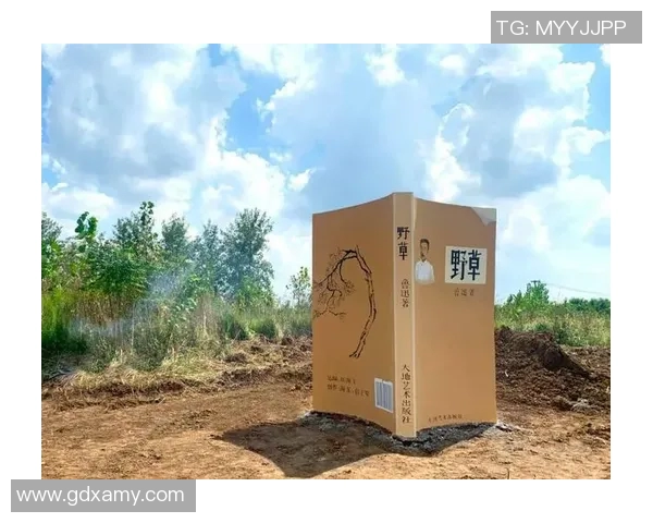 李泓澎：从文学创作到社会影响力的全方位探索与思考