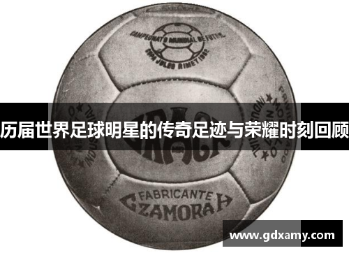 历届世界足球明星的传奇足迹与荣耀时刻回顾