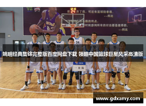 姚明经典集锦完整版百度网盘下载 领略中国篮球巨星风采高清版